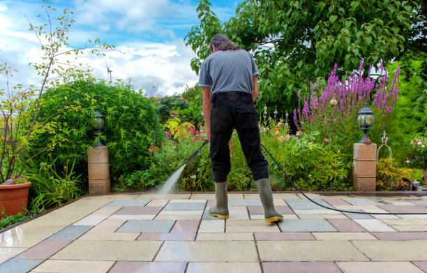 Best Driveway Pressure Washing  in Matteson, IL